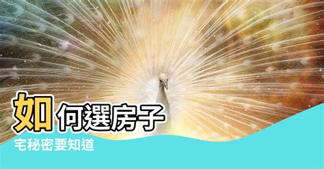 向東北樓風水|如何選擇房子方位？8大風水方位與12生肖的完美結合，改變你的。